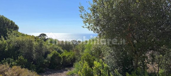 2 bedrooms House in Trinità d'Agultu e Vignola, Italy No. 305850 15