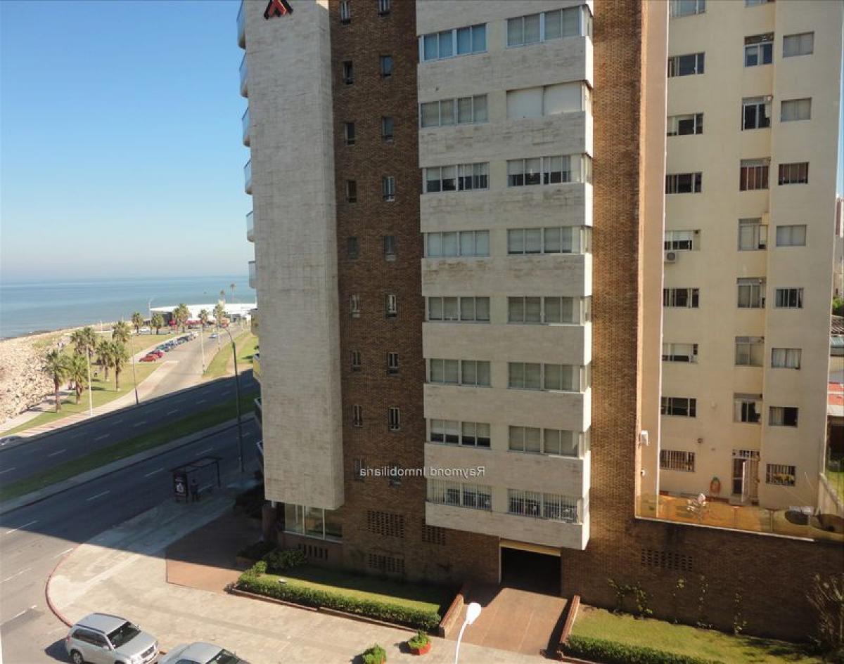 3 bedrooms Apartment in Montevideo, Uruguay No. 199