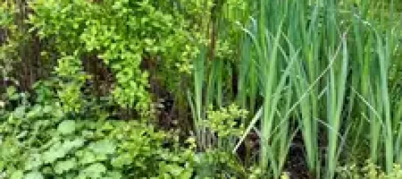 4 Schlafzimmer Stadthaus in Altötting, Germany, Nr. 180725 3