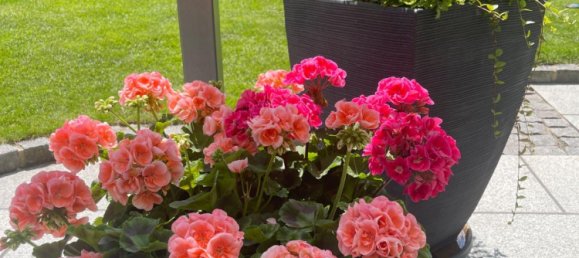 4 bedrooms House in Eimsbuttel, Germany No. 364276 7