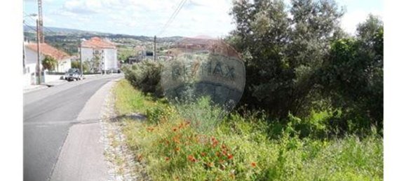 3 bedrooms House in Alcobaca, Portugal No. 24773 10