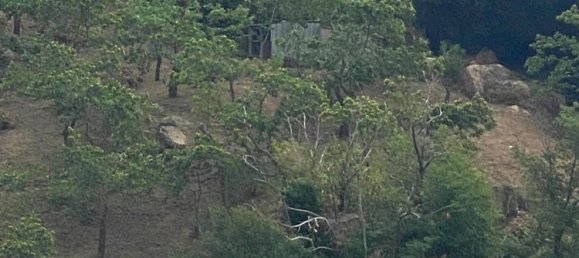  Land in Gioi, Italy No. 318444 12