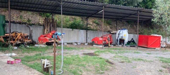  Land in Gioi, Italy No. 318444 10