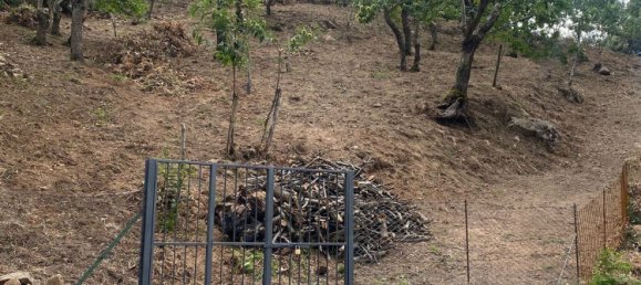  Land in Gioi, Italy No. 318444 3