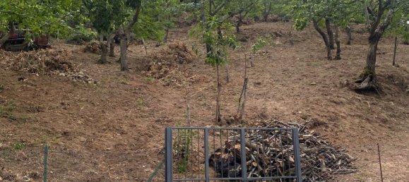  Land in Gioi, Italy No. 318444 13