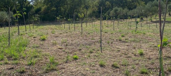  Land in Gioi, Italy No. 318444 18