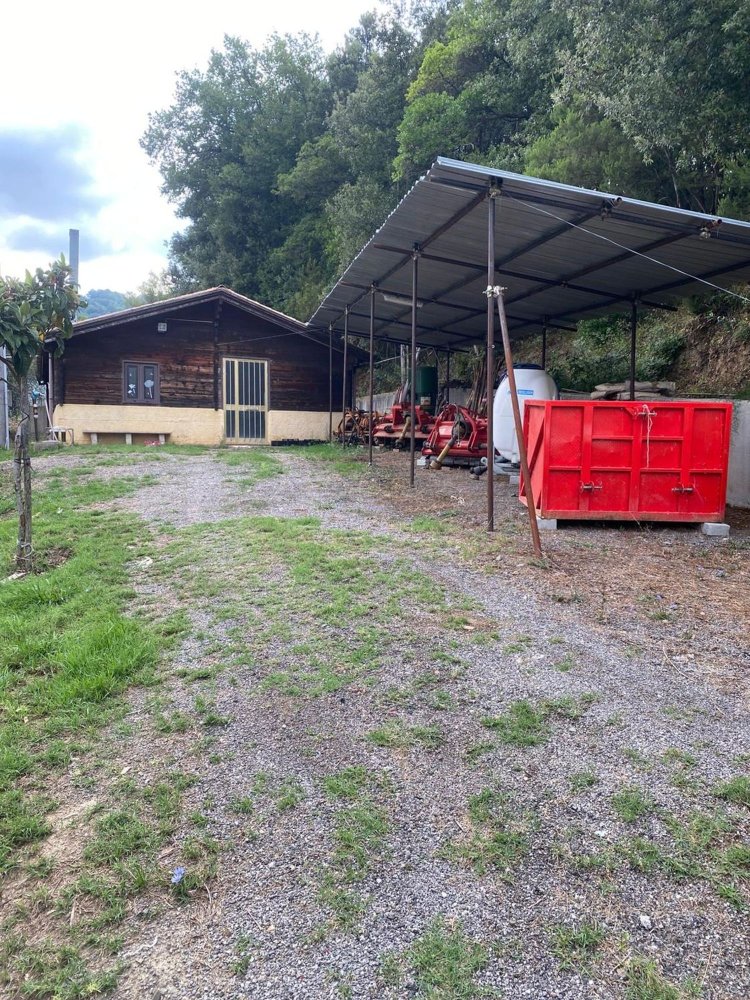  Land in Gioi, Italy No. 318444