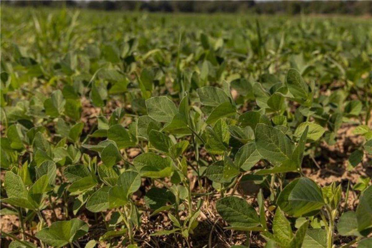  Land in Appleton City, USA No. 509789