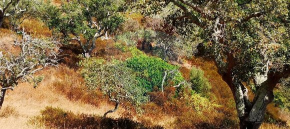 Grundstück in Grandola, Portugal 170325m², Nr. 92693 6