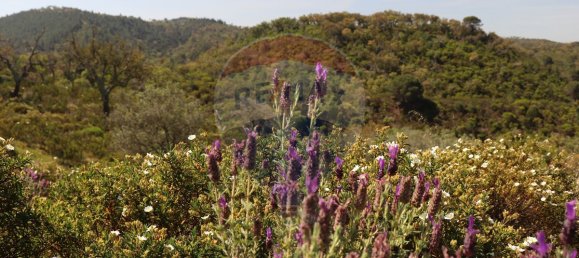 Grundstück in Grandola, Portugal 170325m², Nr. 92693 24