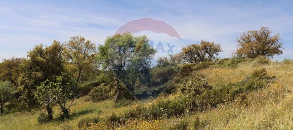 Grundstück in Grandola, Portugal 170325m², Nr. 92693 22