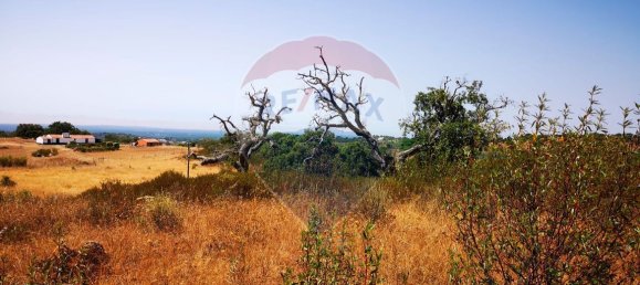 Grundstück in Grandola, Portugal 170325m², Nr. 92693 3