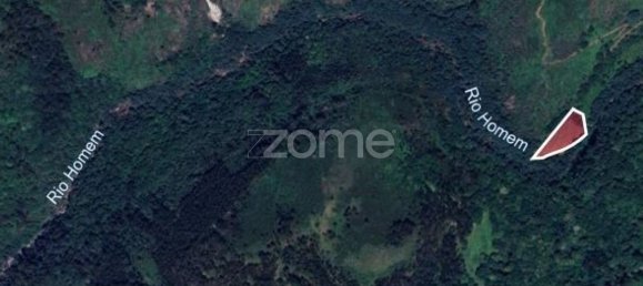 10100m² Land in Terras de Bouro, Portugal No. 173128 3