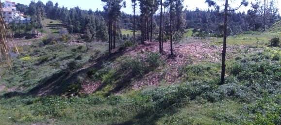 Terreno en Mijas, Spain No. 78207 2