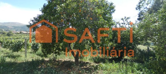 10 bedrooms House in Melgaco, Portugal No. 60392 17