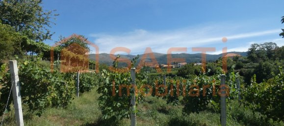 10 bedrooms House in Melgaco, Portugal No. 60392 15