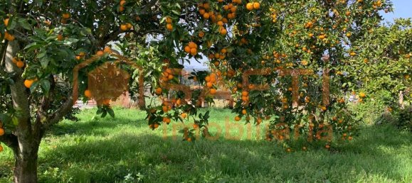 10 bedrooms House in Melgaco, Portugal No. 60392 18