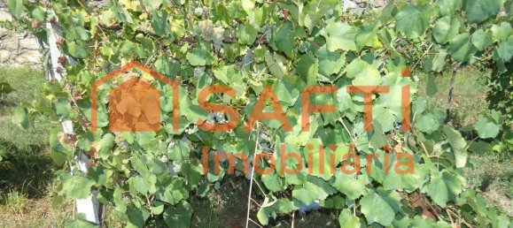 10 bedrooms House in Melgaco, Portugal No. 60392 13