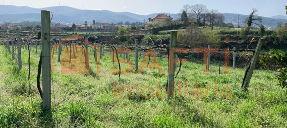 10 bedrooms House in Melgaco, Portugal No. 60392 25