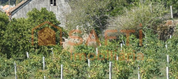 10 bedrooms House in Melgaco, Portugal No. 60392 9