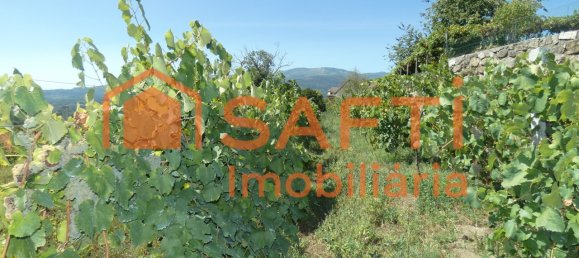 10 bedrooms House in Melgaco, Portugal No. 60392 12