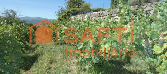 10 bedrooms House in Melgaco, Portugal No. 60392 14