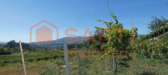 10 bedrooms House in Melgaco, Portugal No. 60392 16