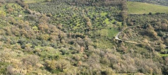 10 rooms Villa in Agropoli, Italy No. 31799 18