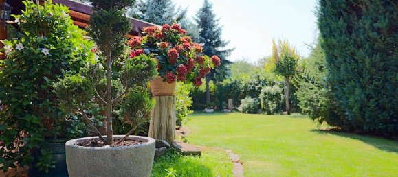 6-salle Maison de ville à Leipzig, Germany No. 330687 8