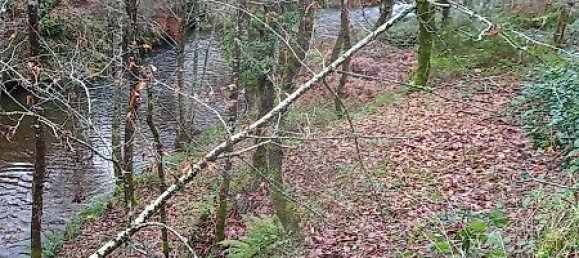 2 bedrooms House in Nespereira, Portugal No. 24748 7