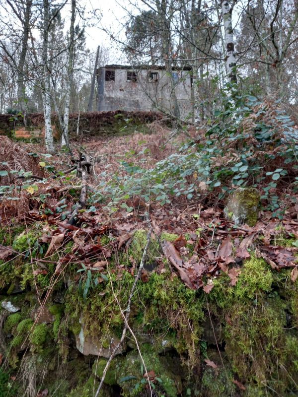 2 bedrooms House in Nespereira, Portugal No. 24748