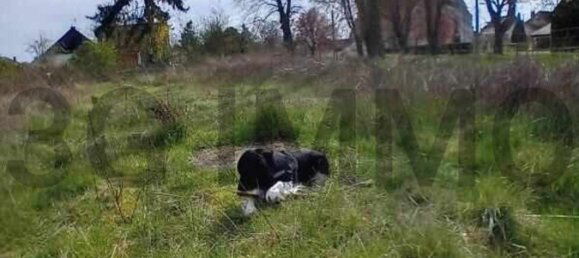 Terreno em Plancy-l'Abbaye, France N.º 56320 2