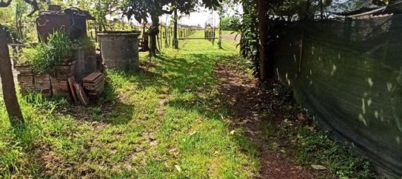 5 rooms House in Villamarzana, Italy No. 26224 5