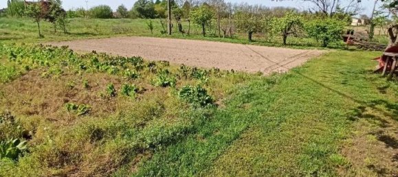 5 rooms House in Villamarzana, Italy No. 26224 3