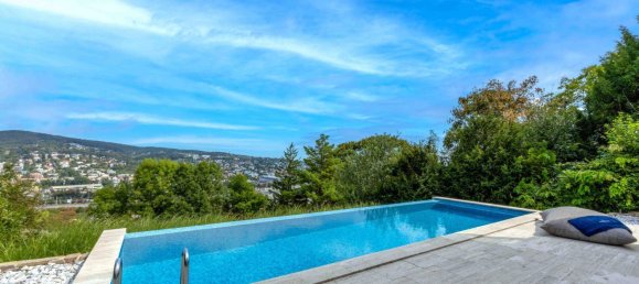 Вилла с 6 комнатами в Хитцинг, Австрия № 243259 15