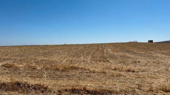 Grundstück in La Haba, Spain 13189m², Nr. 183061