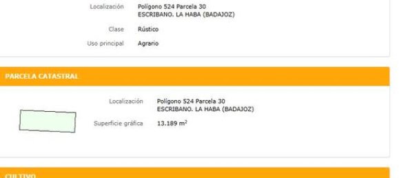 Grundstück in La Haba, Spain 13189m², Nr. 183061 5