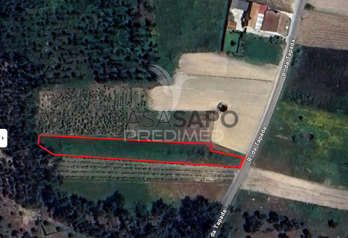  Land in Quarteira, Portugal No. 196649