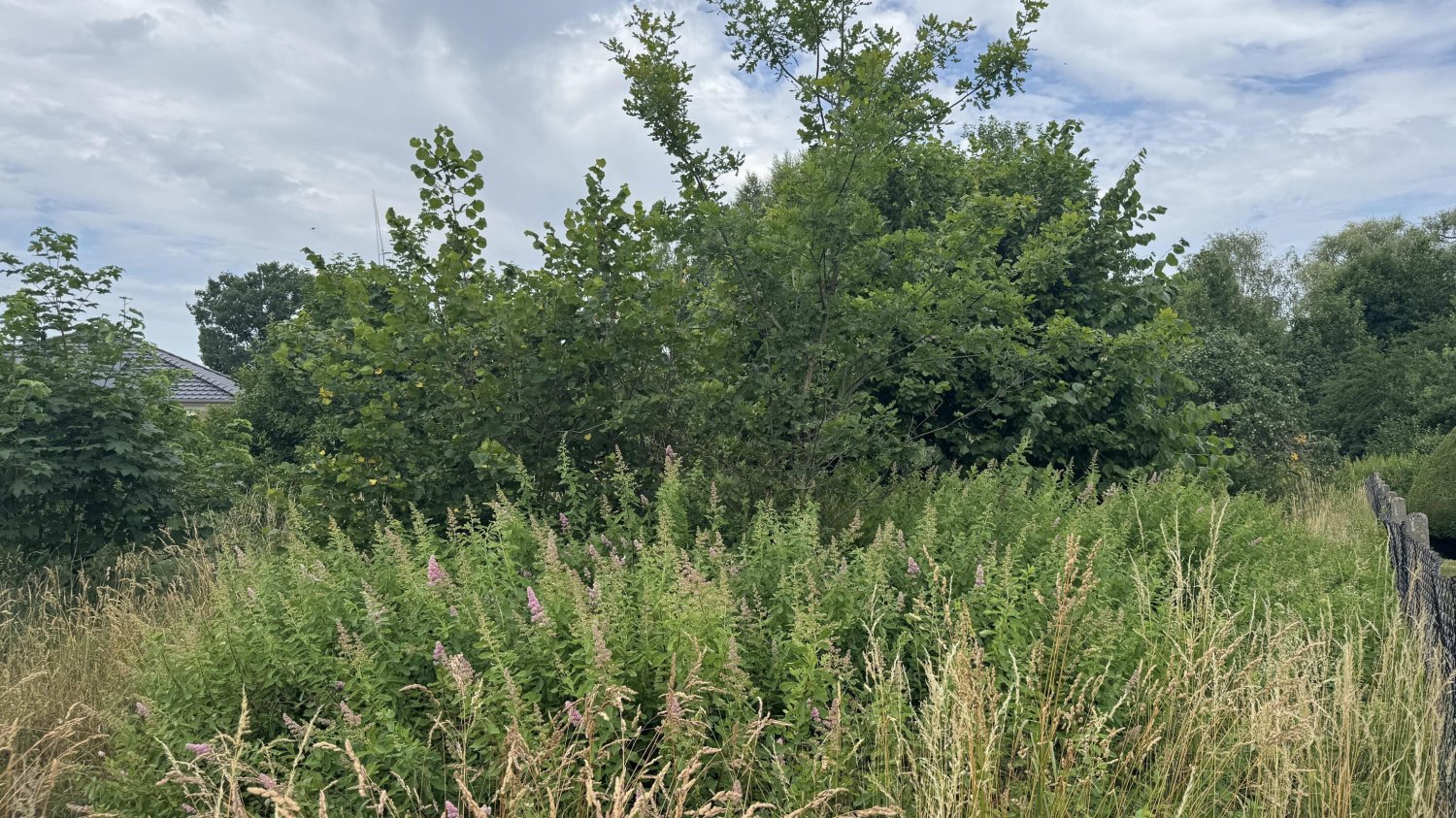 Grundstück in Cottbus, Germany, Nr. 327363