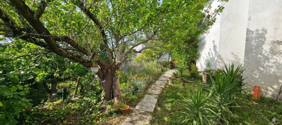 Casa T6 em Juncal, Portugal N.º 17334 24