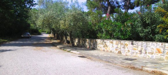 Villa de 4 dormitorios en Chalkidiki, Greece No. 7196 20