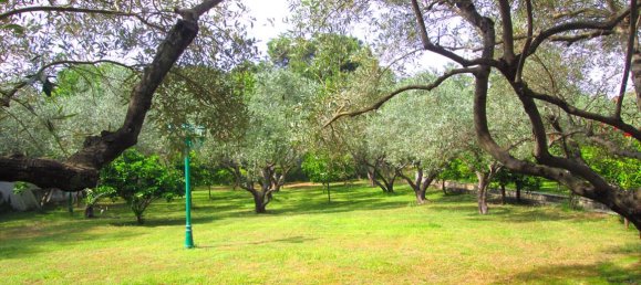 Villa de 4 dormitorios en Chalkidiki, Greece No. 7196 14