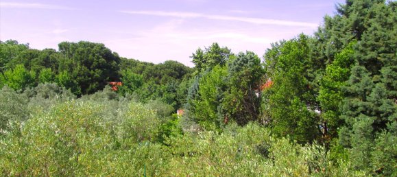 Villa de 4 dormitorios en Chalkidiki, Greece No. 7196 10