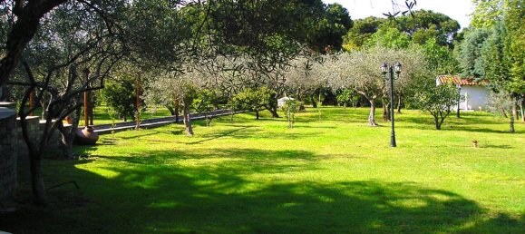 Villa de 4 dormitorios en Chalkidiki, Greece No. 7196 18