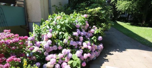 Apartamento de 1 dormitorio en Mulheim an der Ruhr, Germany No. 84136 3