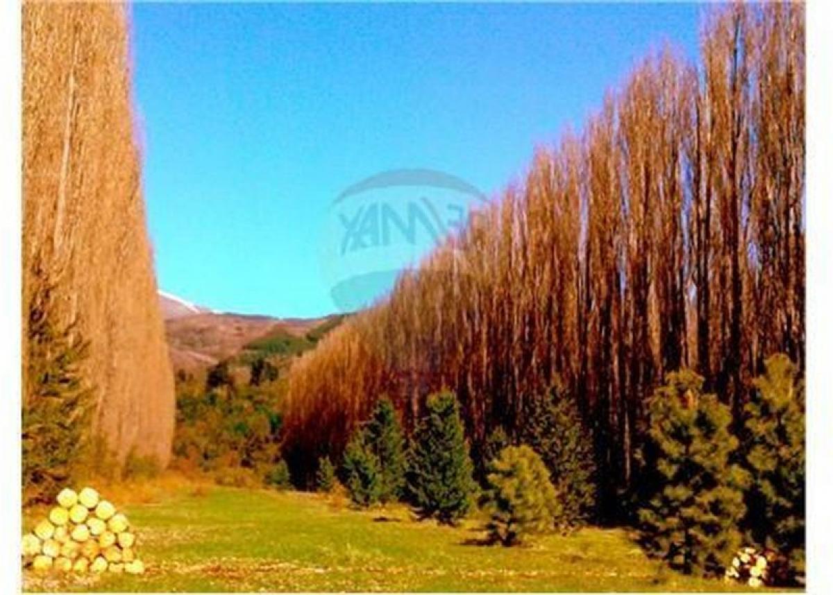 1 bedroom Land in San Carlos de Bariloche, Argentina No. 50807