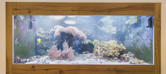 3 Schlafzimmer Haus in Aurich, Germany, Nr. 13113 8