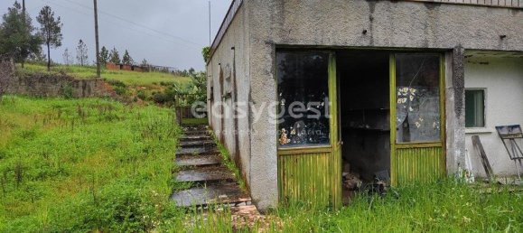 5 Schlafzimmer Haus in Sarzedas, Portugal, Nr. 77554 7