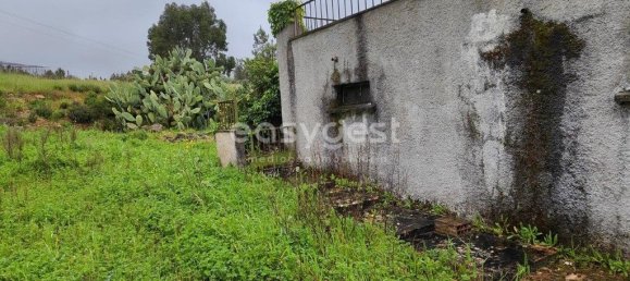 5 Schlafzimmer Haus in Sarzedas, Portugal, Nr. 77554 5