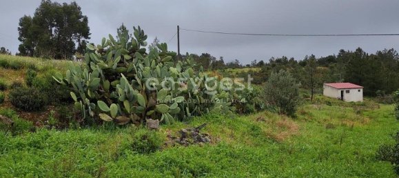5 Schlafzimmer Haus in Sarzedas, Portugal, Nr. 77554 4